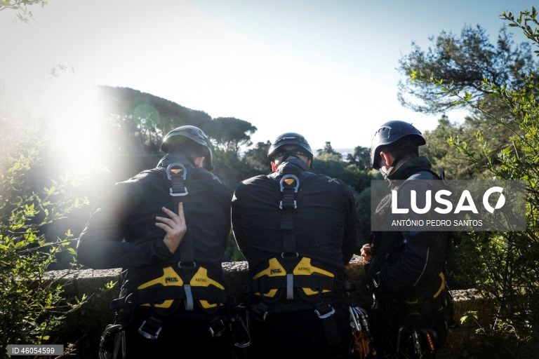 Militares do Exército Português durante o exercício nacional "Fénix", no âmbito do Apoio Militar de Emergência, no Parque Florestal de Monsanto, em Lisboa, 18 de novembro de 2025. O exercício decorreu na região de Lisboa, envolvendo mais de 300 operacionais e mais de 100 viaturas, com o objetivo de testar e validar a resposta coordenada do Sistema de Apoio Militar de Emergência do Exército às solicitações de apoio da Autoridade Nacional de Emergência e Proteção Civil (ANEPC), em reação a um...