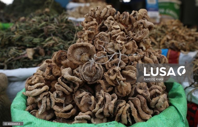 Índia: Mercado de rua em Srinagar na Caxemira indiana