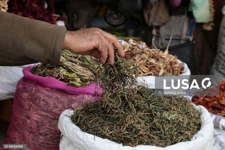 Índia: Mercado de rua em Srinagar na Caxemira indiana