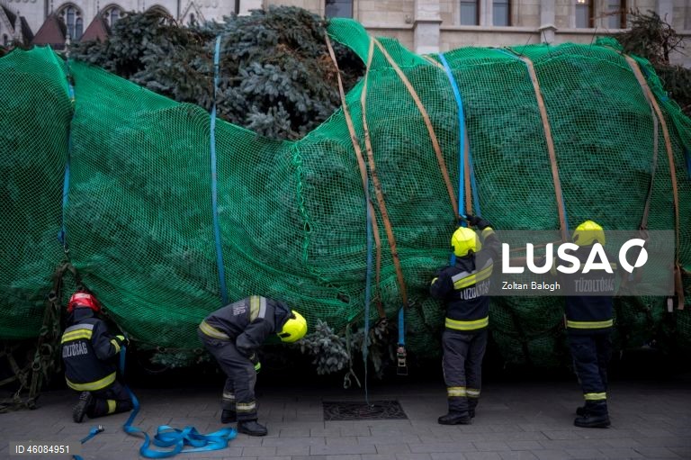 Preparações para o Natal na Hungria
