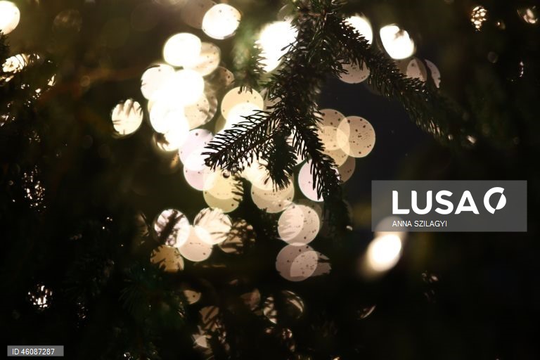 Preparações para o Natal na Hungria