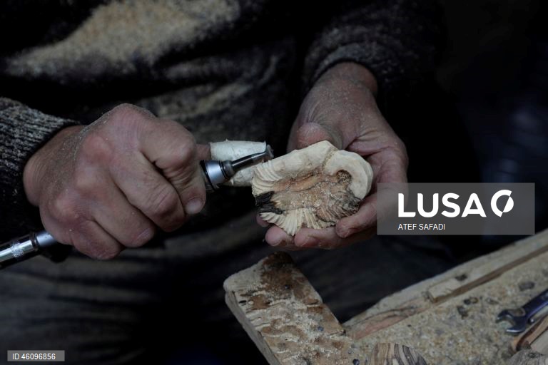 26 de novembro - Dia Internacional da Oliveira