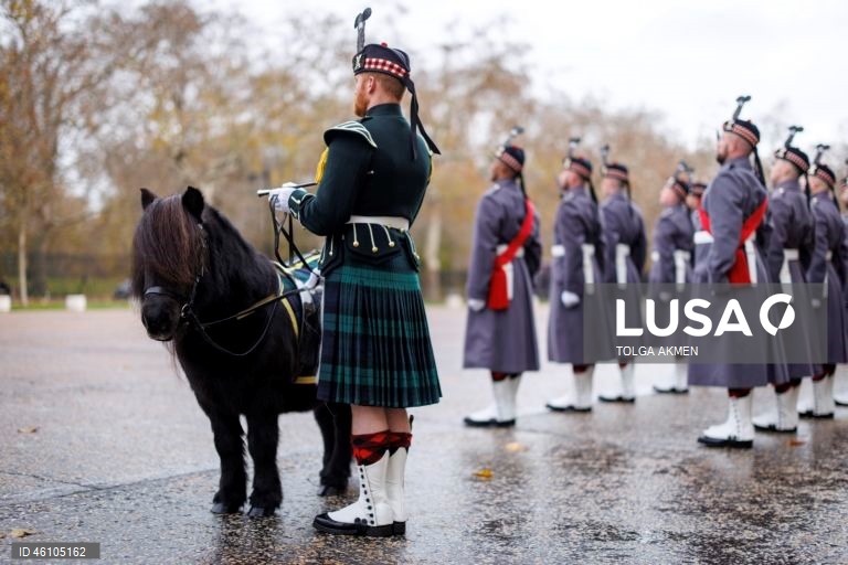 Empresa Balaklava pronta para assumir as funções cerimoniais da Guarda Real em Londres