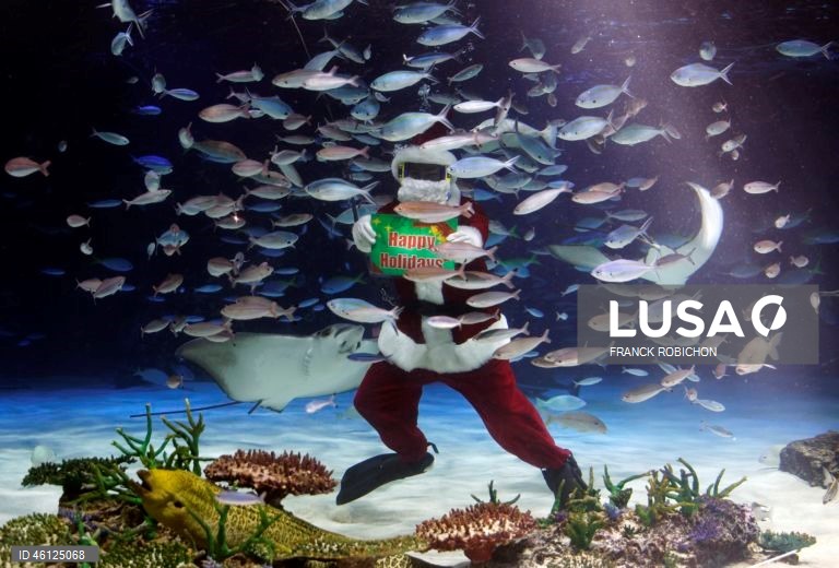 Pai Natal no Aquário de Tóquio