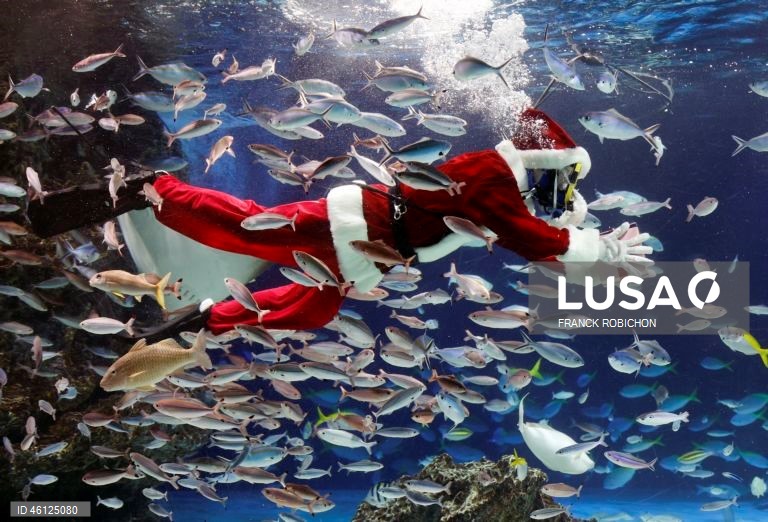 Pai Natal no Aquário de Tóquio