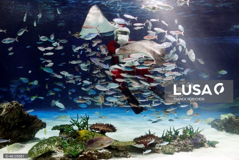 Pai Natal no Aquário de Tóquio