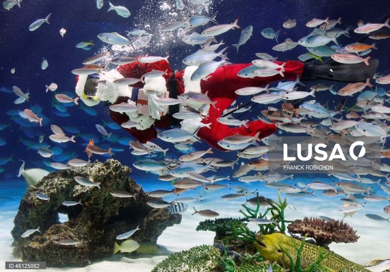 Pai Natal no Aquário de Tóquio