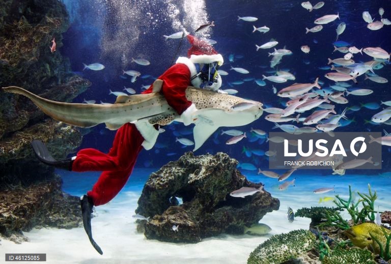 Pai Natal no Aquário de Tóquio