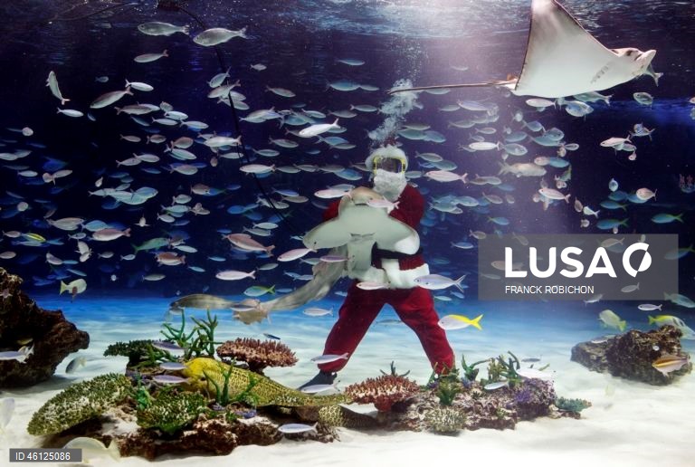 Pai Natal no Aquário de Tóquio