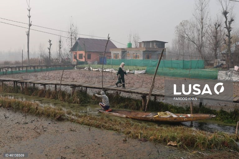 Índia: Onda de frio atinge Srinagar