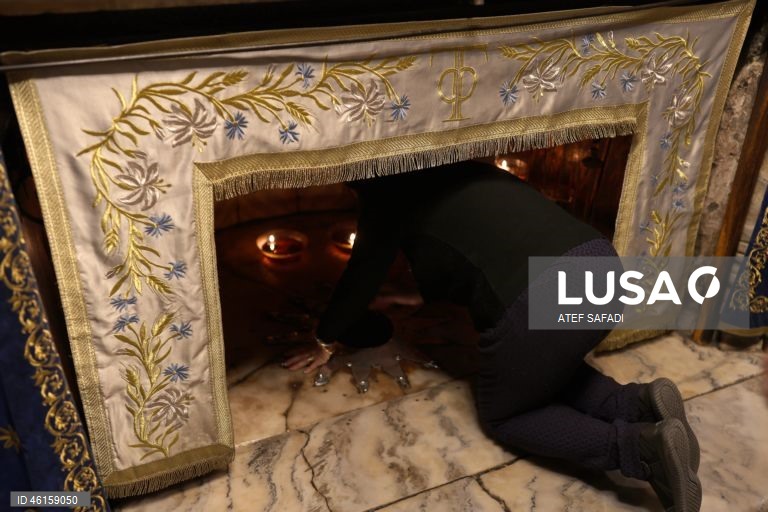 Cisjordânia: Belém acenderá a árvore de Natal dois anos depois.