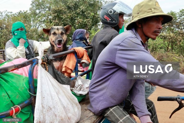 Camboja: Refugiados da guerra entre o Camboja e a Tailândia