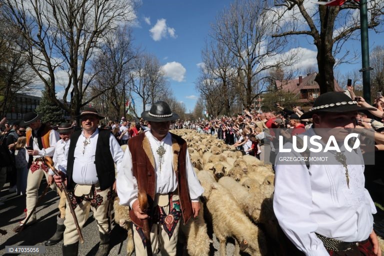 As pessoas observam enquanto ovelhas acompanhadas por pastores são conduzidas para pastagens de montanha durante a transumância de primavera (redyk) para Gorna Rowien Krupowa, no sul da Polónia. O Redyk, que se realiza nas Montanhas Tatra todas as primaveras, era no passado um evento muito apreciado, considerado um dos festivais anuais mais importantes na cultura dos pastores locais. 
