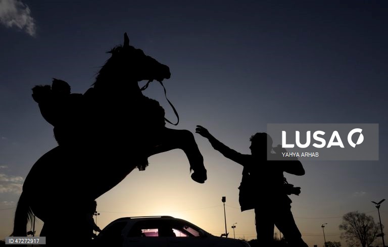 Iémen: Passeios a cavalo em Saná ao por do sol