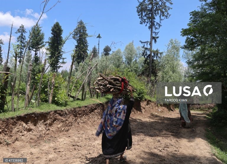 Índia: Vida quotidiana da comunidade nómade Gujjar na província de Caxemira