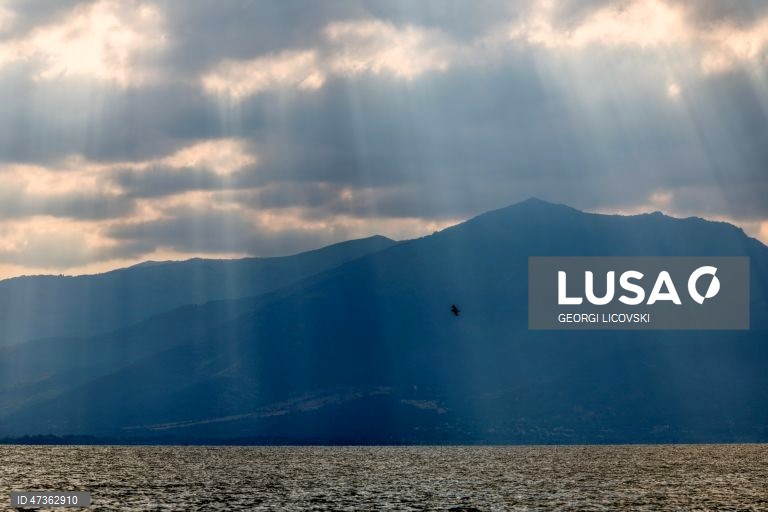 Aves sobrevoam o Lago Prespa, perto da Ilha da Serpente, nas proximidades da aldeia de Konjsko, na República da Macedónia do Norte. Ao longo das últimas duas décadas, o Lago Prespa perdeu uma quantidade significativa de água devido às atividades humanas e às alterações climáticas, colocando em risco a sua rica biodiversidade. Após um inverno marcado por fortes nevões e chuvas abundantes, o nível do lago subiu 1,12 metros este ano, renovando as esperanças de que um dos lagos mais antigos da...