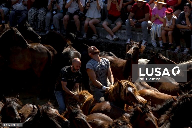 Espanha: Tradicional Festival  "Rapa das Bestas" em Sabucedo
