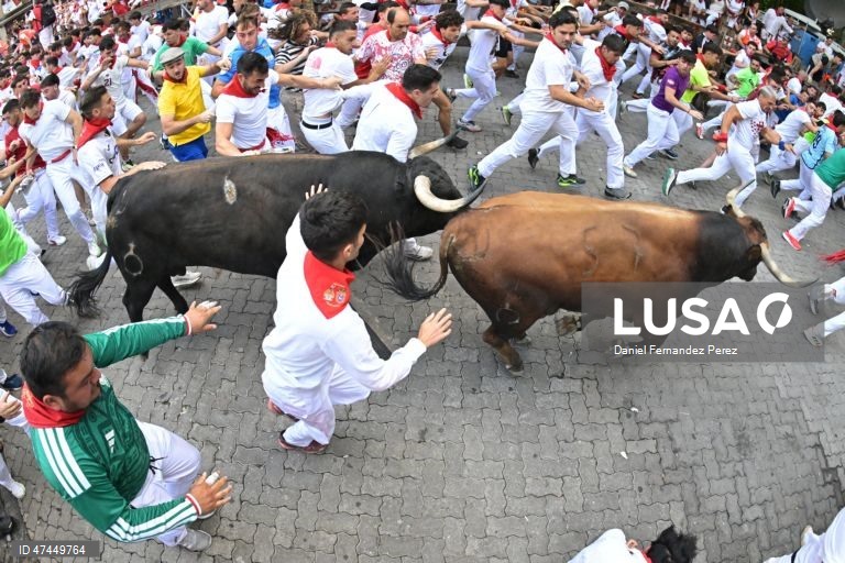 Os corredores, conhecidos como «mozos», são perseguidos pelos touros da fazenda La Palmosilla durante a sexta corrida de touros do festival de San Fermín, em Pamplona, no norte de Espanha.