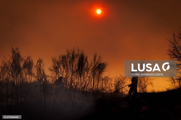 O incêndio que começou na terça-feira no concelho de Valpaços e se estendeu aos de Mirandela e Vinhais tem hoje à noite três frentes ativas, tendo sido feito um reforço de meios e operacionais, revelou a Proteção Civil.