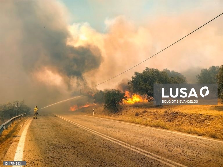 Grécia: Incêndio na Argólida