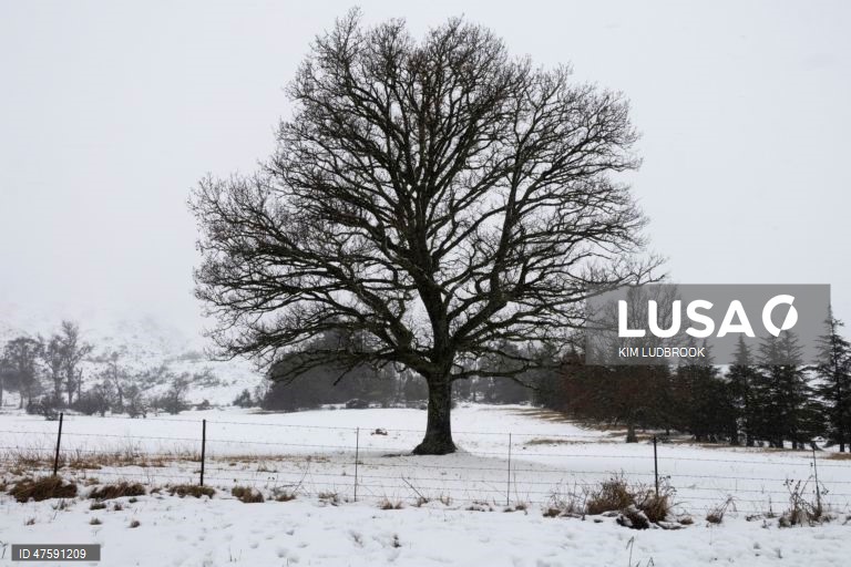 África do Sul: Inverno em Nottingham Road