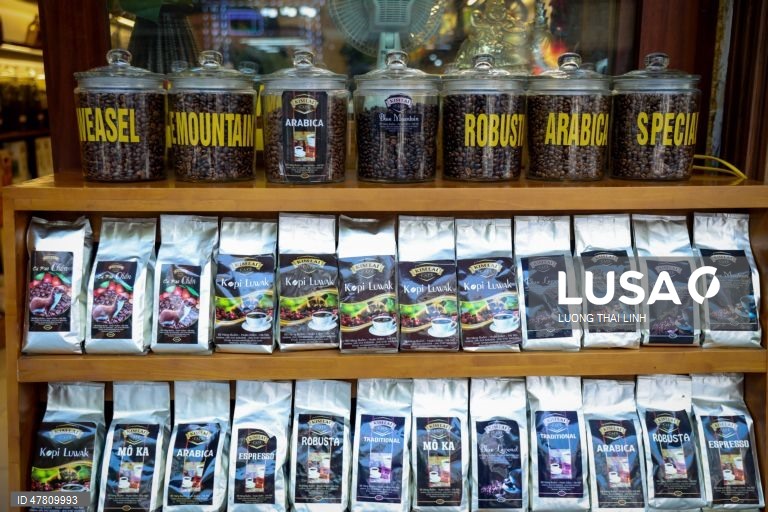 Vietname: Comércio de café em Hanoi