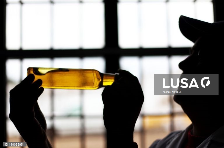 Produção de azeite em Portugal deverá cair 20% este ano - associação