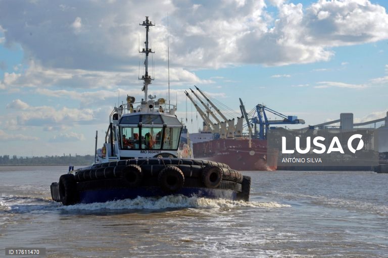 Mozambique: Cashew exports exceed €100M in 2025