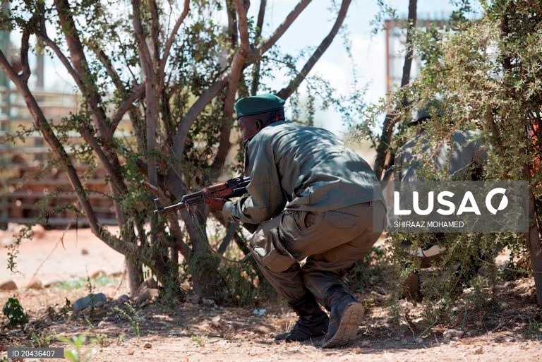 Caçadores furtivos bloqueiam estrada e agridem fiscal após morte em Maputo