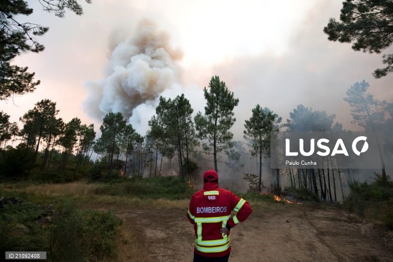 Cerca de uma centena de operacionais combatem incêndio em Vale de Cambra