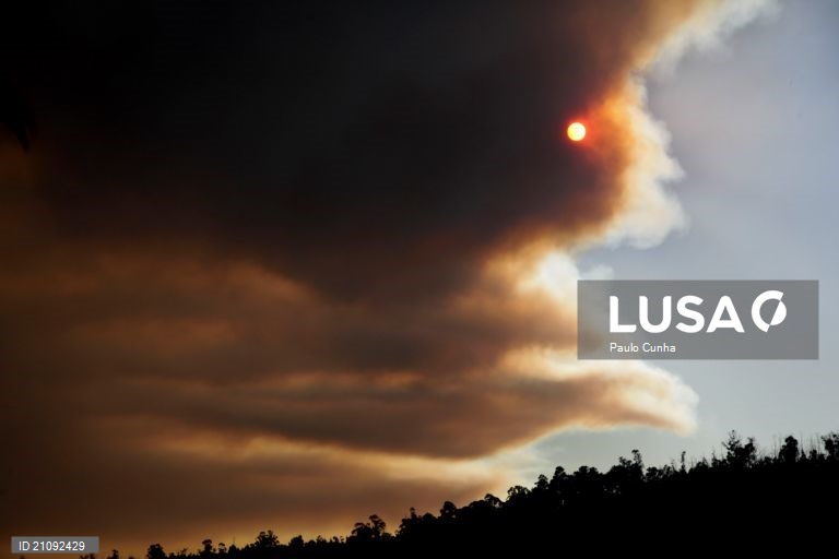 Incêndio em Vale de Cambra a ceder aos meios de combate - Proteção Civil