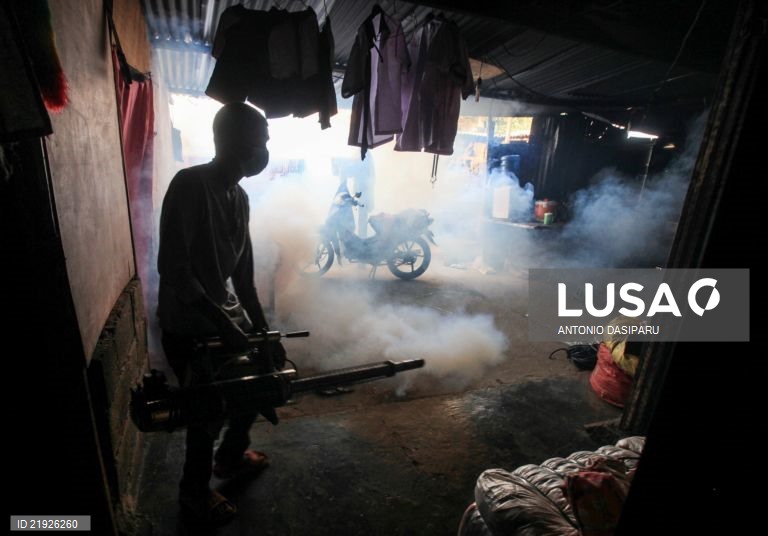 Aumenta para 22 o número de mortes devido à dengue em Timor-Leste