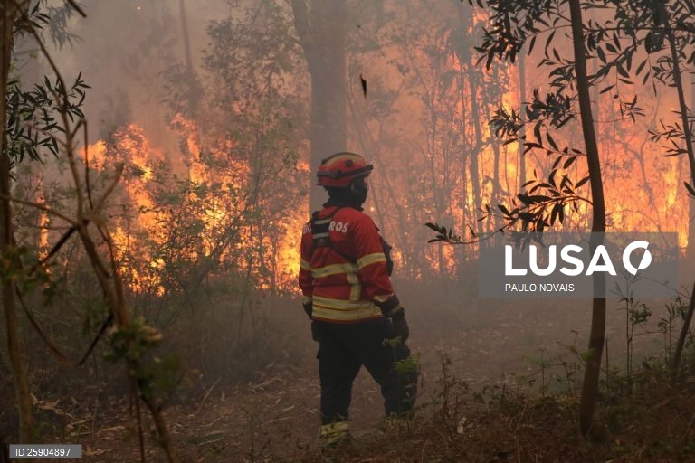 Área ardida este ano quase que triplicou face a 2024 e fogos aumentaram 68%