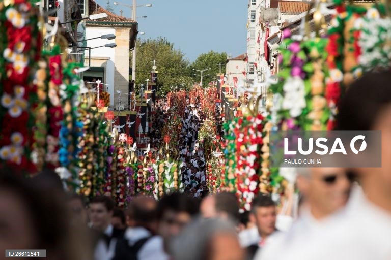 População de Tomar vota pela realização da Festa dos Tabuleiros em 2027