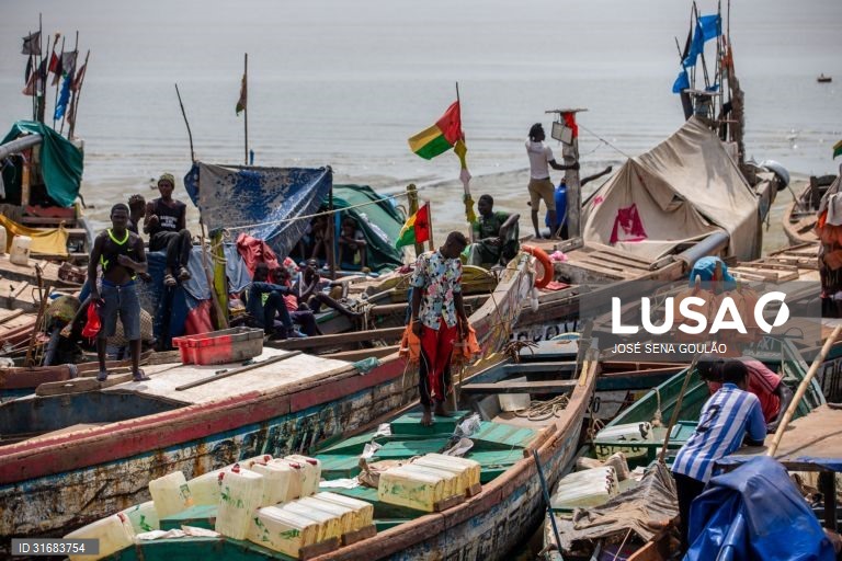 Pescado pode render mil milhões de euros por ano à Guiné-Bissau - armadores