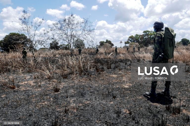 Quase 800 pessoas em fuga após ataques em Cabo Delgado, Moçambique