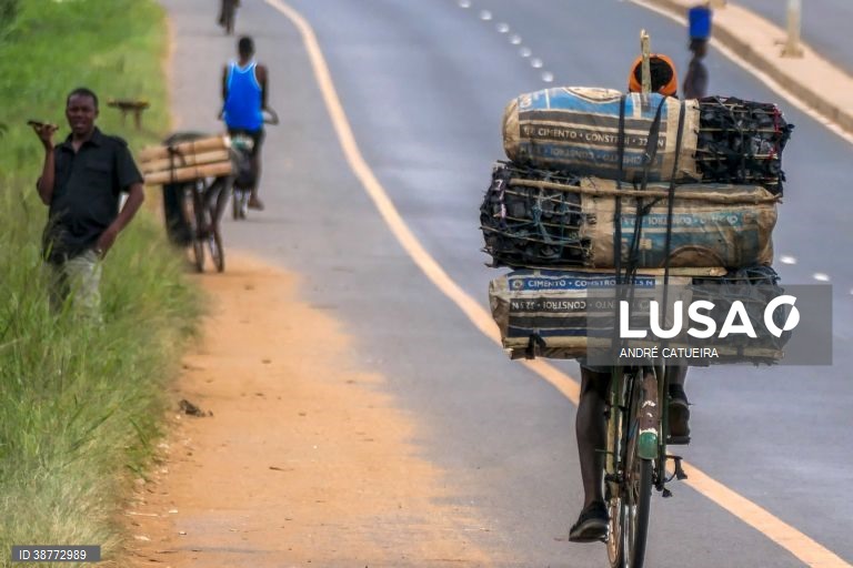 Polícia moçambicana apreende 1.400 sacos de carvão com destino à África do Sul