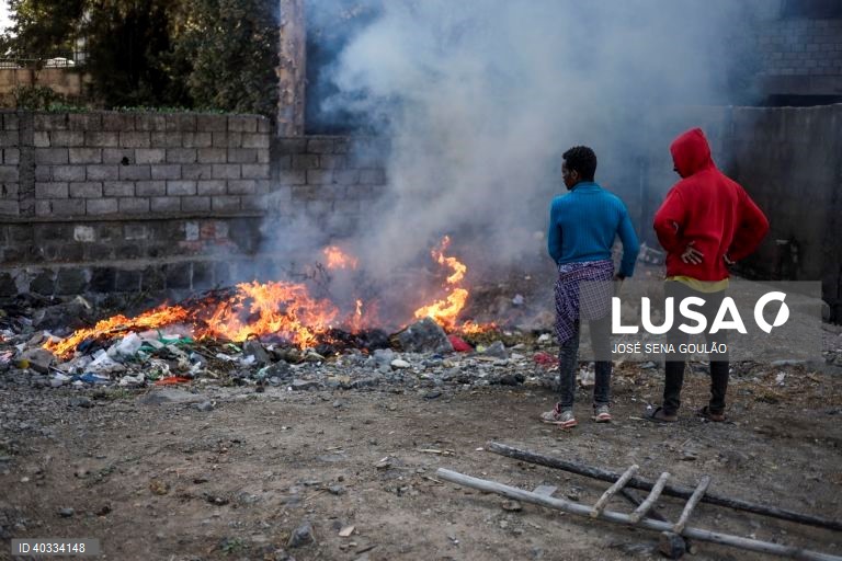 Queimadas descontroladas destruíram 600 hectares de floresta em província moçambicana