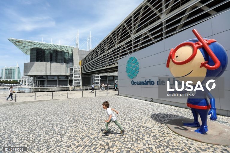 Oceanário de Lisboa reabre casa dos pinguins quase um ano depois