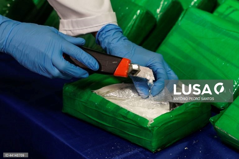 PJ apreende mais de 200 quilos de cocaína em areia para gatos no Bombarral