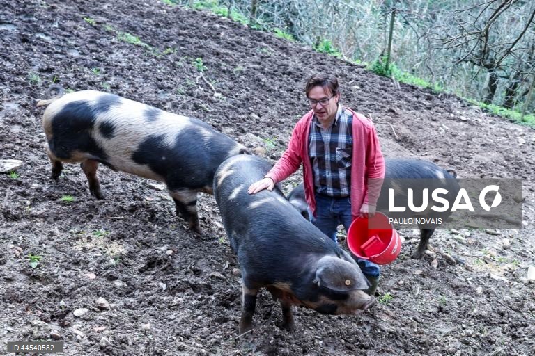 Portugal: Endangered species being preserved on a Coimbra farm