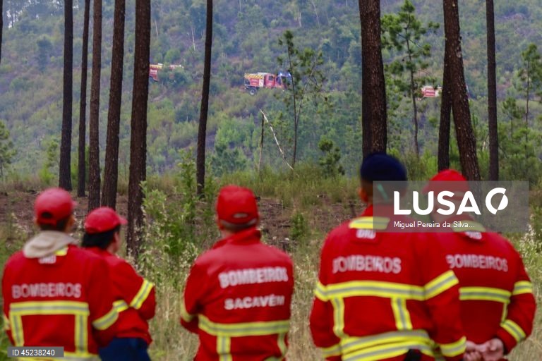 Incêndio em Castelo Branco quase dominado e em Torres Novas em rescaldo