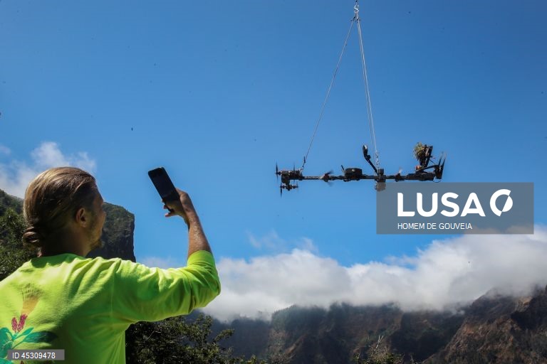 Os difíceis voos de drone que recolheram espécies raras nas escarpas da Madeira