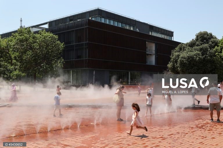 Ondas de calor marcam 2025, ano mais húmido que o habitual em Portugal