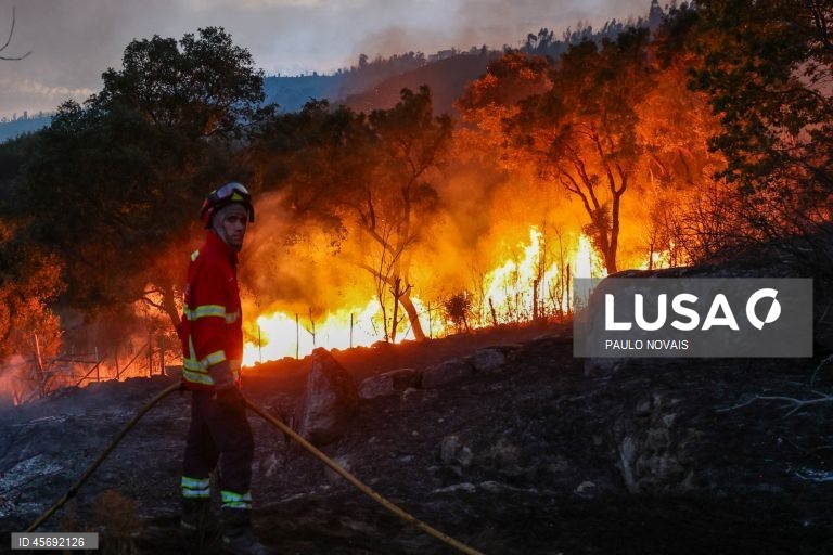 Região de Coimbra denuncia atrasos nos pagamentos de apoios dos incêndios de 2025