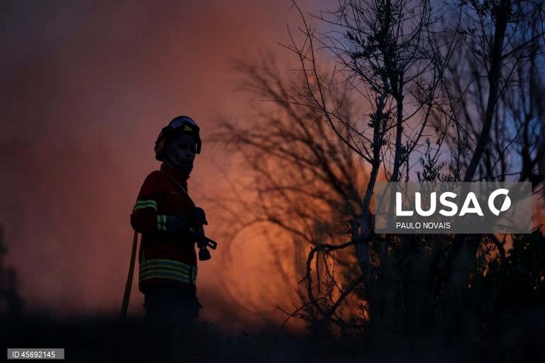 Incêndio em Vale de Cambra em fase de rescaldo