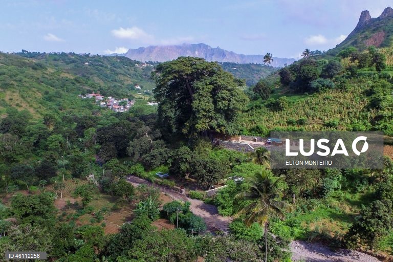 Cabo Verde: Tourist numbers hit record 981,000 in 2024 - official