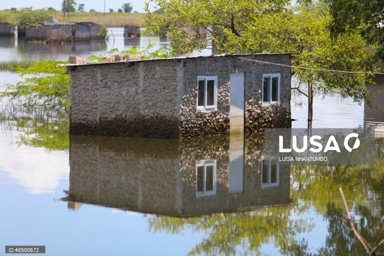 Época das chuvas em Moçambique já causou a morte a 277 pessoas