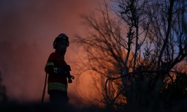 Incêndio em Vale de Cambra em fase de rescaldo