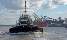 Mozambique: Cashew exports exceed €100 M in 2025